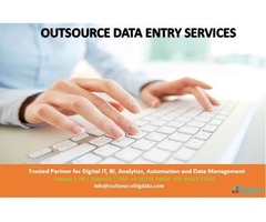 Outsource Data Entry Services | free-classifieds-usa.com - 1