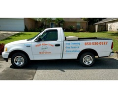 Tree & shrub trimming and removal. Licensed and Insured | free-classifieds-usa.com - 1