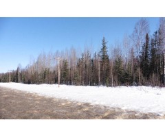 28+Acres of Parks Hwy Frontage | free-classifieds-usa.com - 2