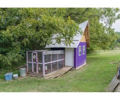 Wheeping Willows, Walking Trails, Seasonal Creek, and the most adorable chicken coop | free-classifieds-usa.com - 2