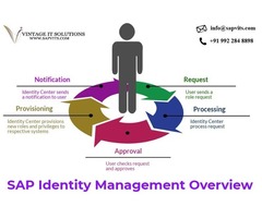 SAP IDM Training | SAP IDM Overview | free-classifieds-usa.com - 1