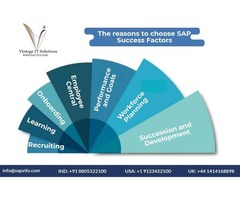 SAP SuccessFactors Training | SAP SuccessFactors Overview | free-classifieds-usa.com - 1