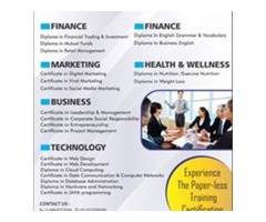 Digital marketing training and certification-OSG | free-classifieds-usa.com - 1