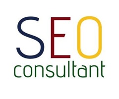 Get the Suitable SEO Consulting Services in Michigan | free-classifieds-usa.com - 1