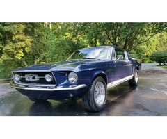 1967 Ford Mustang GTA 390 Fastback | free-classifieds-usa.com - 1
