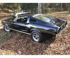 1967 Ford Mustang FASTBACK 289 4 SPEED | free-classifieds-usa.com - 1