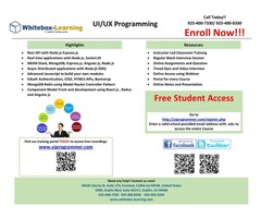 UI/UX Programming and QA (Quality Assurance) / QE (Quality Engineering) | free-classifieds-usa.com - 1