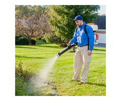 Mosquito Repellent Spray for Yard | free-classifieds-usa.com - 1