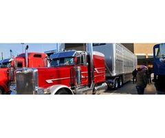 Mount Pocono Transportation: Truck Service and Trucking Jobs | free-classifieds-usa.com - 2