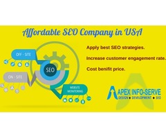 Affordable SEO Company in USA | Apex Info-Serve | free-classifieds-usa.com - 1