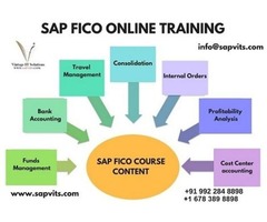  SAP FICO Online Training in USA | free-classifieds-usa.com - 1
