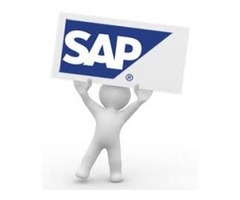 SAP S4 HANA 1709 Simple Finance Remote Server Access | free-classifieds-usa.com - 1
