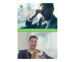 Beat Depression With Emotional Support Animal | free-classifieds-usa.com - 1