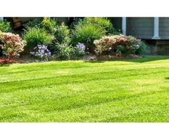 Personal Touch Lawn Service & Maintenance | free-classifieds-usa.com - 1