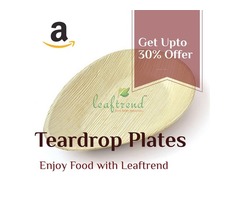 Healthy Food with Natural Dinnerware  | free-classifieds-usa.com - 1