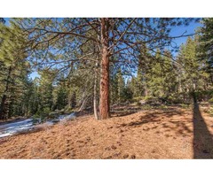 11777 CHINA CAMP ROAD TRUCKEE, CA - PLACE OF PEACE AND SERENITY! | free-classifieds-usa.com - 2
