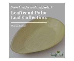 Leaftrend Palm Leaf Wedding Plate Collections | free-classifieds-usa.com - 1