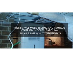 Get Mold Tested of Your Home at Just $100 | free-classifieds-usa.com - 1