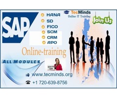 SAP Online Training I USA | free-classifieds-usa.com - 2