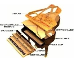 Galesburg, IL Piano Tuning and Repair - Piano Tuner for Galesburg, Illinois 61401 | free-classifieds-usa.com - 2