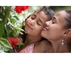 Family Assist, Parenting Classes, Coaching, Consult, Court-approved | free-classifieds-usa.com - 3