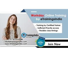 Join us for best Workday Online Training Program with Tenant Access | free-classifieds-usa.com - 4