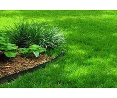 Oasis Lawn Care and Landscape, LLC | free-classifieds-usa.com - 1