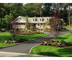 professional team of lawn care service | free-classifieds-usa.com - 1