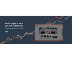 Top 6 Most Common Challenges for Amazon Sellers | Amz Analyzer | free-classifieds-usa.com - 1