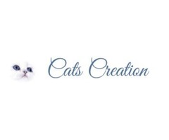 Cats Creation | free-classifieds-usa.com - 1