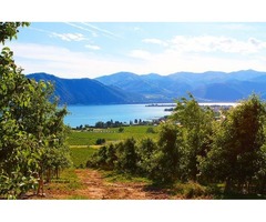 Chelan Real Estate is undoubtedly a beautiful and refreshing place | free-classifieds-usa.com - 1