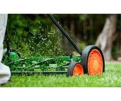 lawn care service | free-classifieds-usa.com - 1