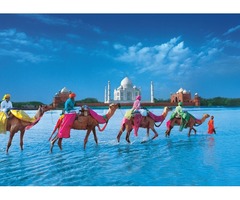India Tour Packages Booking Now | free-classifieds-usa.com - 3