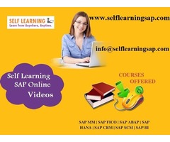 SAP all Modules Available Best OFFER, Best Price and COMBO COURSES in SELF LEARNING CENTER at. | free-classifieds-usa.com - 1