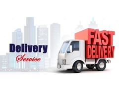 Get Fastest Courier Delivery Service at Reliable Price in Dallas and Minneapolis | free-classifieds-usa.com - 3