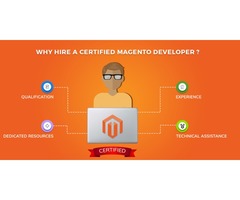 Want to Hire a Magneto Certified Developer? Contact us! | free-classifieds-usa.com - 1