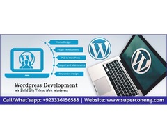 Best Wordpress Website Design Agency Company | free-classifieds-usa.com - 4