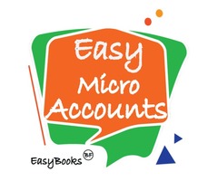 Easy Micro Accounting | free-classifieds-usa.com - 3