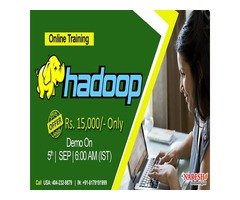 Hadoop Online Training in USA - NareshIT | free-classifieds-usa.com - 1
