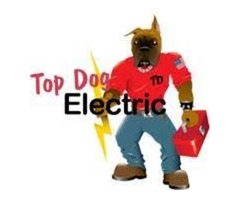 Landscape Lighting Broward County- Top dog Electric  | free-classifieds-usa.com - 2
