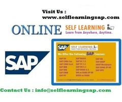Self Learning SAP Online Videos are offered Self Learning sap is a Leading IT Online Videos Center  | free-classifieds-usa.com - 1