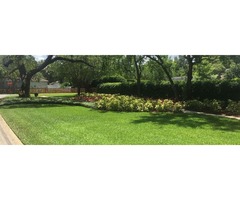 PROscape Assists You In Improving the Curb Appeal  | free-classifieds-usa.com - 1