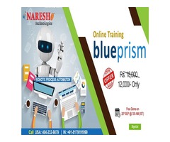 RPA Blue Prism Online Training in USA - NareshIT  | free-classifieds-usa.com - 1