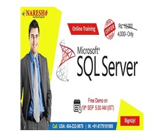 SQL Server Online Training in USA - NareshIT  | free-classifieds-usa.com - 1