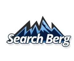SEO Services For Dentists | Dental SEO Company | Dental SEO Marketing Expert – Search Berg | free-classifieds-usa.com - 1