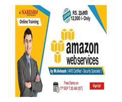 AWS Online Training in USA - NareshIT | free-classifieds-usa.com - 1