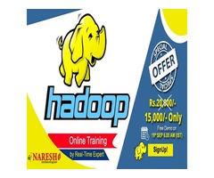 Hadoop Online Training in USA - NareshIT  | free-classifieds-usa.com - 1