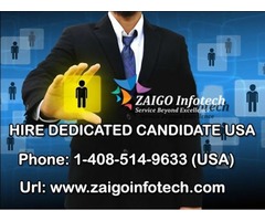 Hire Dedicated Developers - Hire Dedicated Programmers at $9/hr | free-classifieds-usa.com - 1