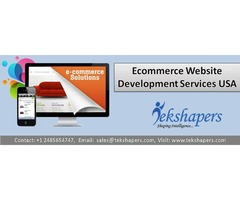 Ecommerce Website Development Services USA | free-classifieds-usa.com - 1