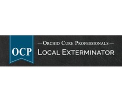OCP Bee Removal Tampa FL - Bee Exterminator | free-classifieds-usa.com - 1